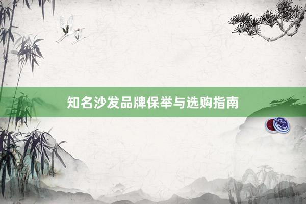 知名沙发品牌保举与选购指南